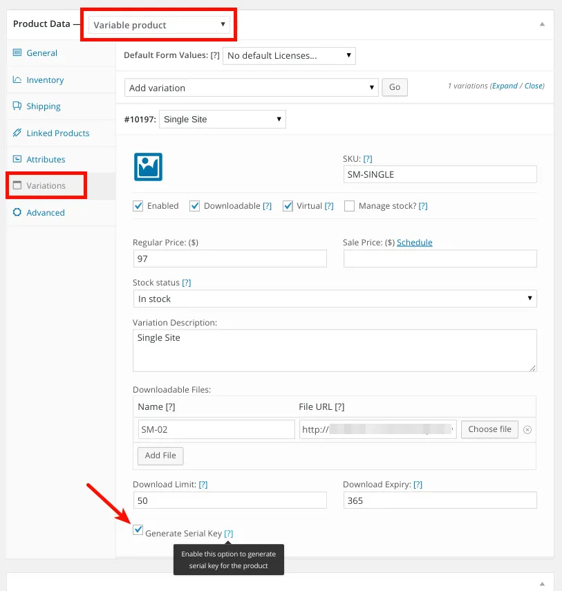 How to setup & use Serial Key